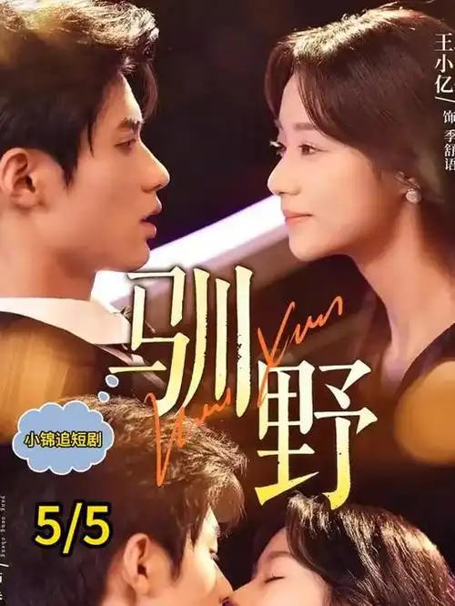十七楼的灯 剧集在线播放